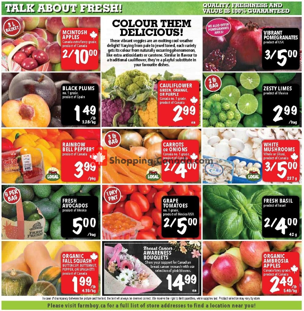 Farm Boy flyer from Thursday October 15, 2020 to Wednesday October 21, 2020 - page 5