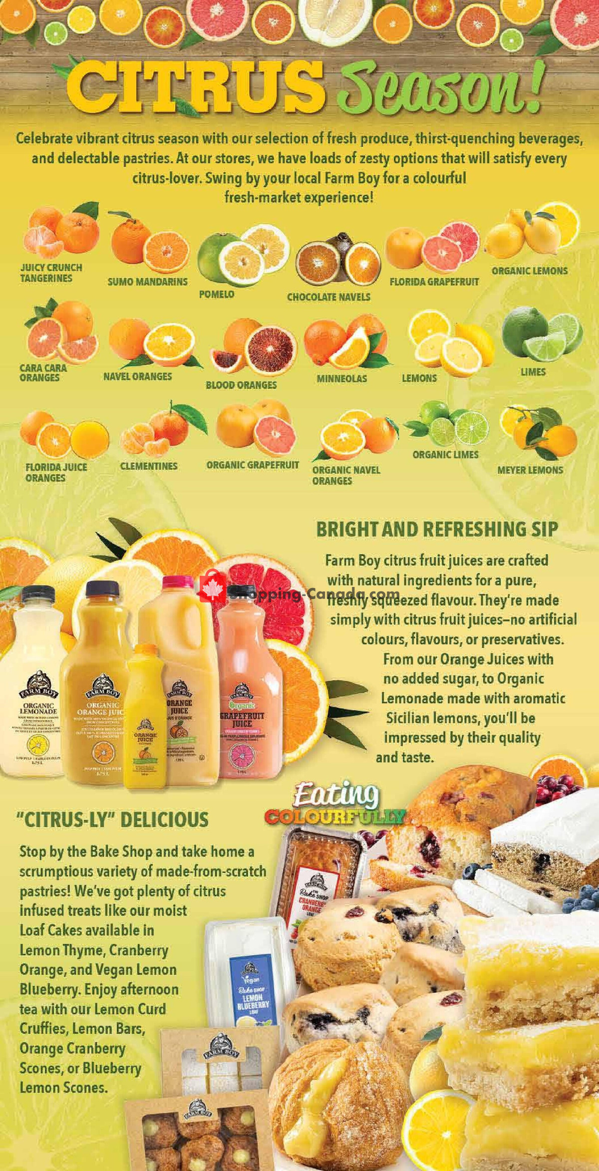 Farm Boy flyer from Thursday January 25, 2024 to Wednesday January 31, 2024 - page 4