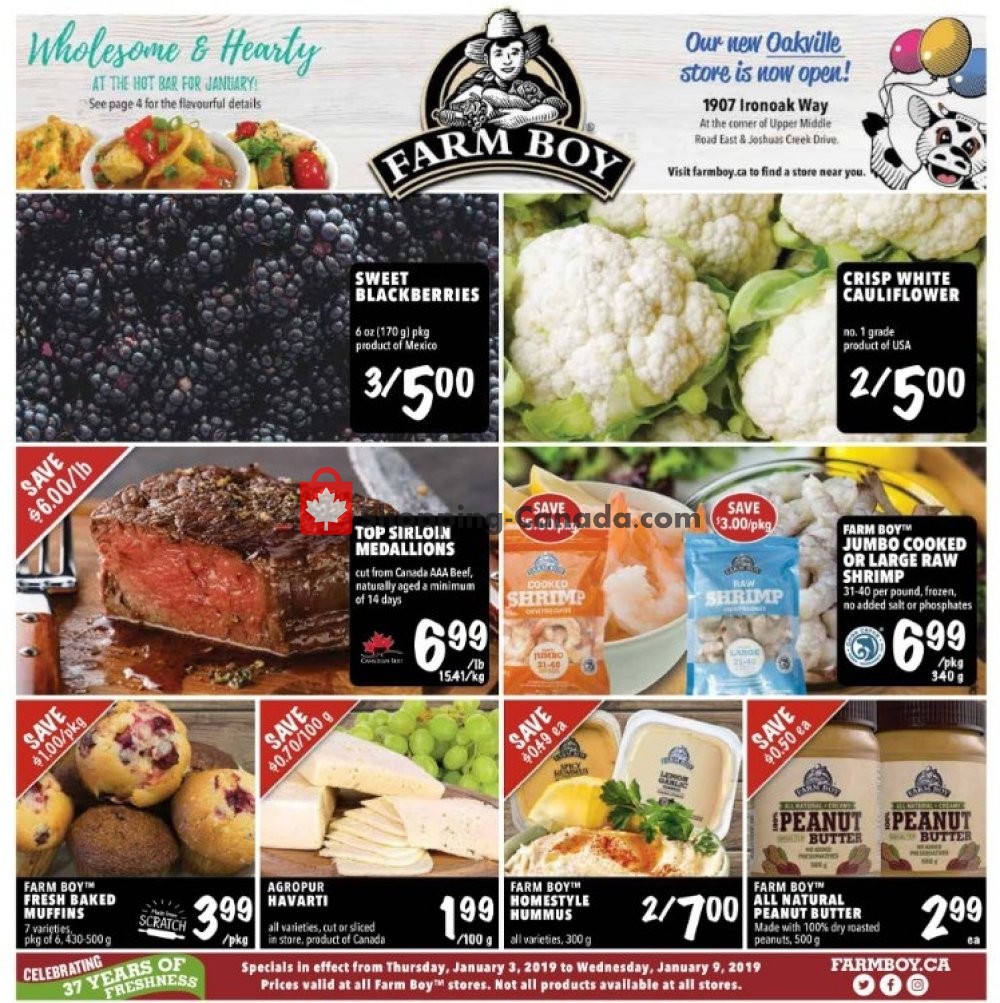 Farm Boy flyer from Thursday January 3, 2019 to Wednesday January 9, 2019 - page 1