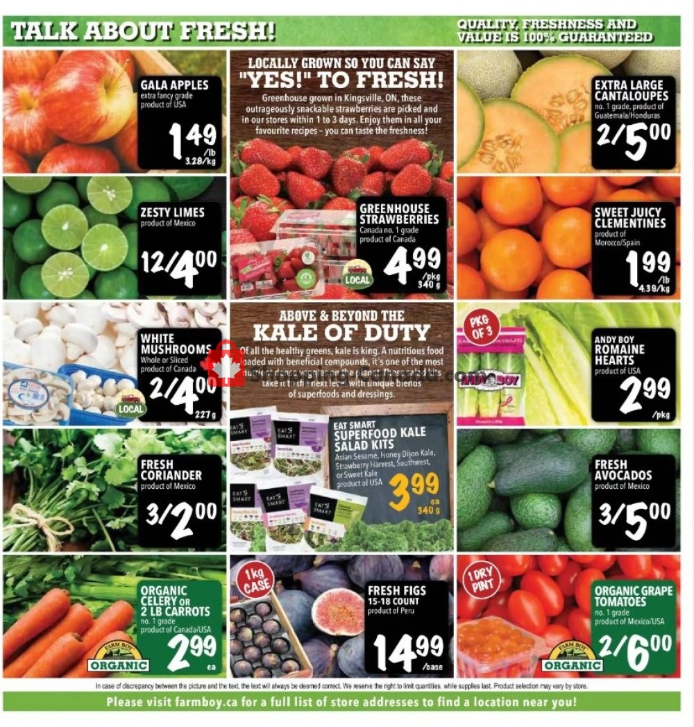 Farm Boy flyer from Thursday January 30, 2020 to Wednesday February 5, 2020 - page 8