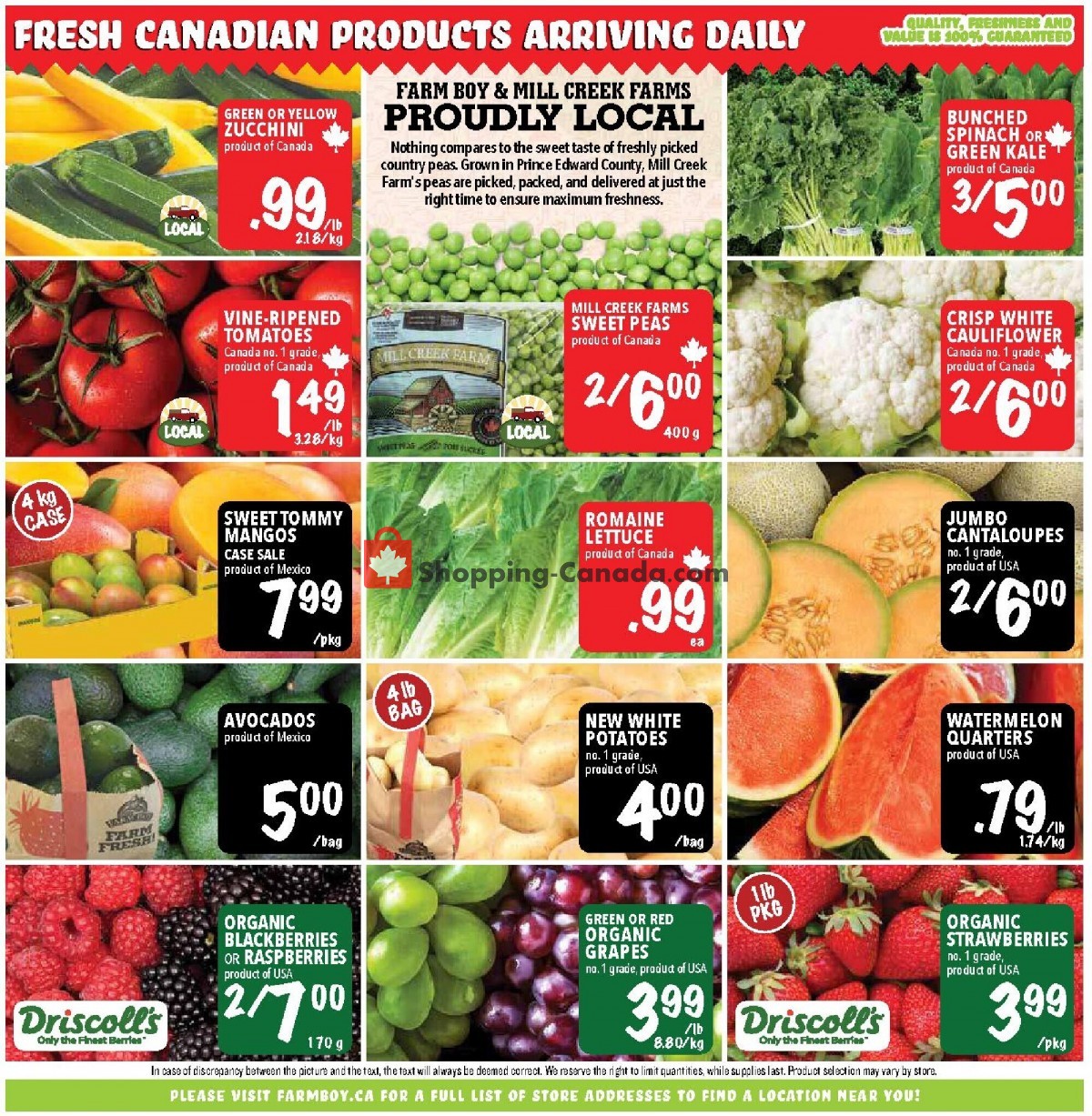 Farm Boy flyer from Thursday July 15, 2021 to Wednesday July 21, 2021 - page 7