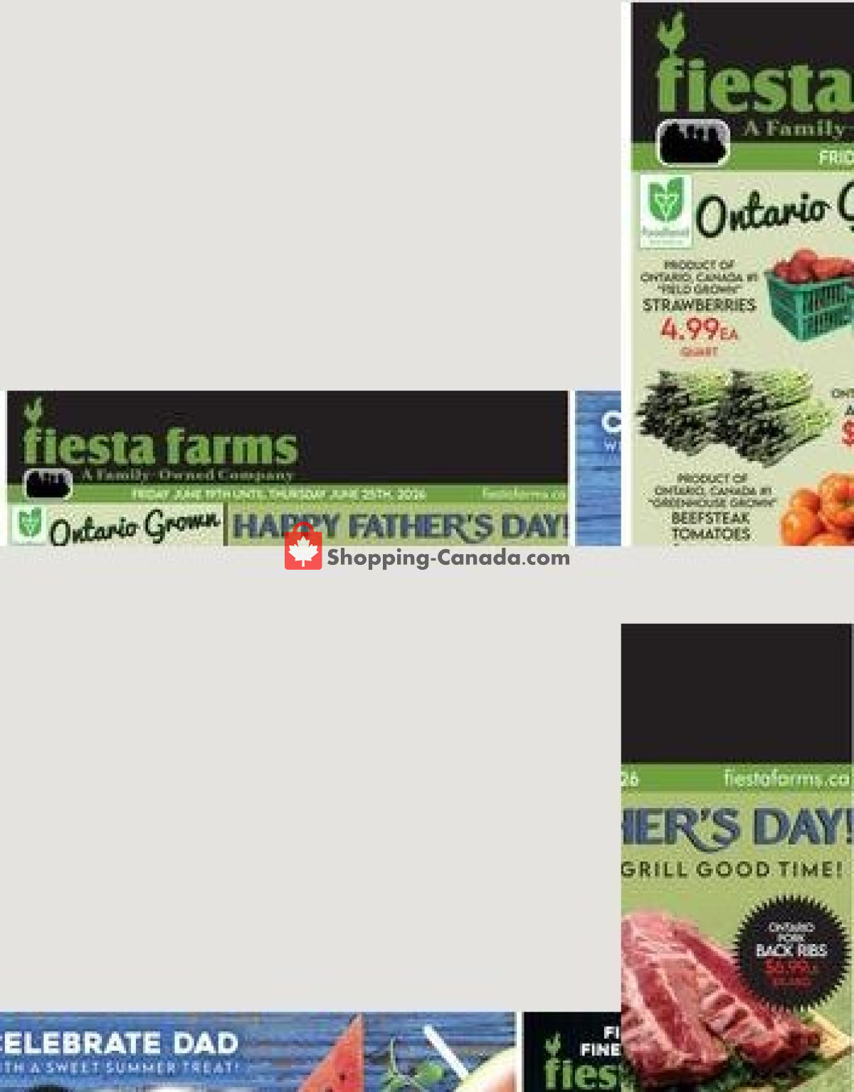 Fiesta Farms flyer from Friday June 19, 2026 to Thursday June 25, 2026 - page 1