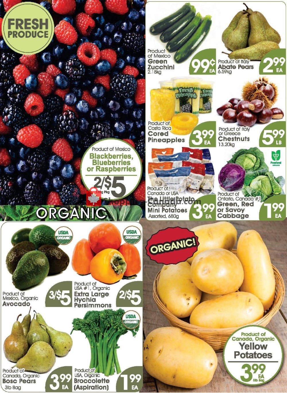 Fiesta Farms flyer from Saturday November 17, 2018 to Friday November 23, 2018 - page 3