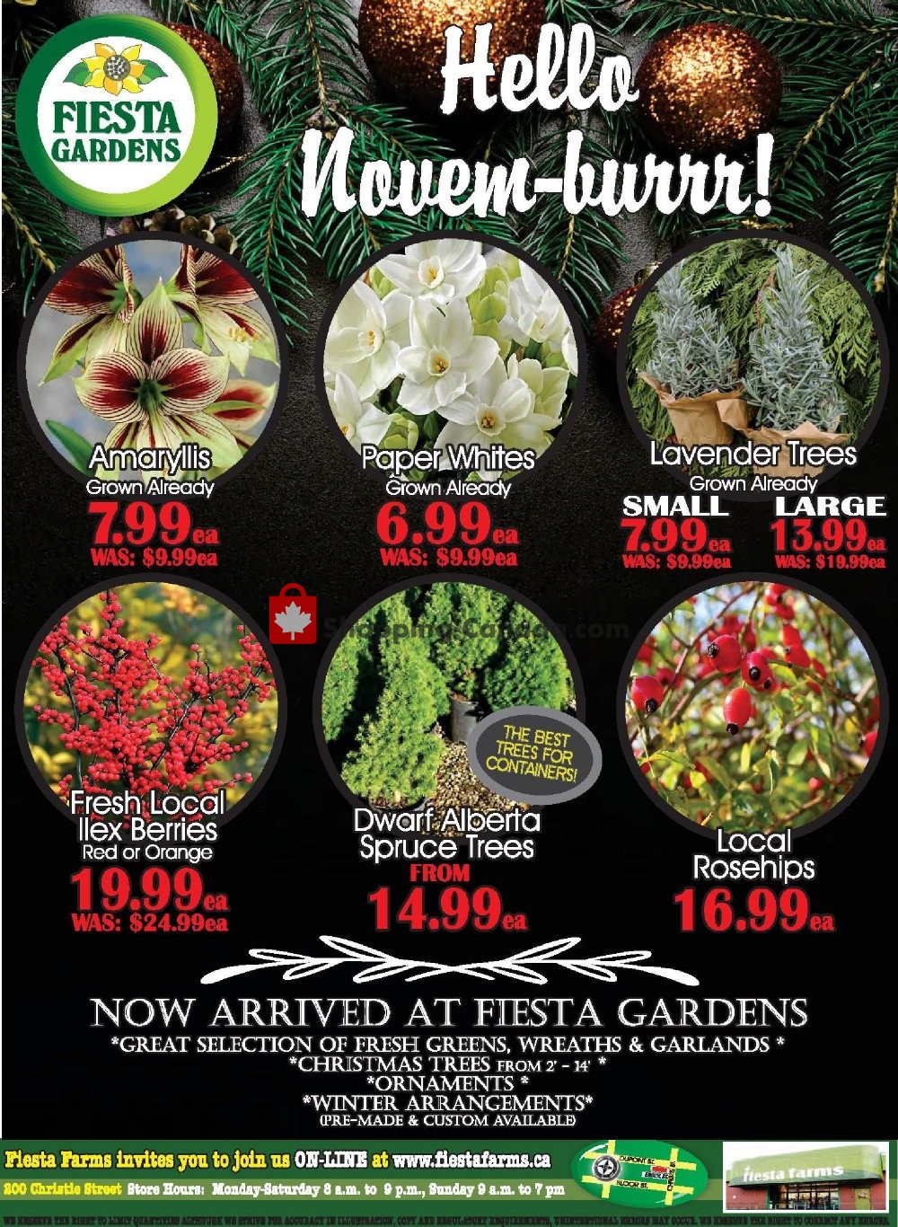 Fiesta Farms flyer from Saturday November 17, 2018 to Friday November 23, 2018 - page 8