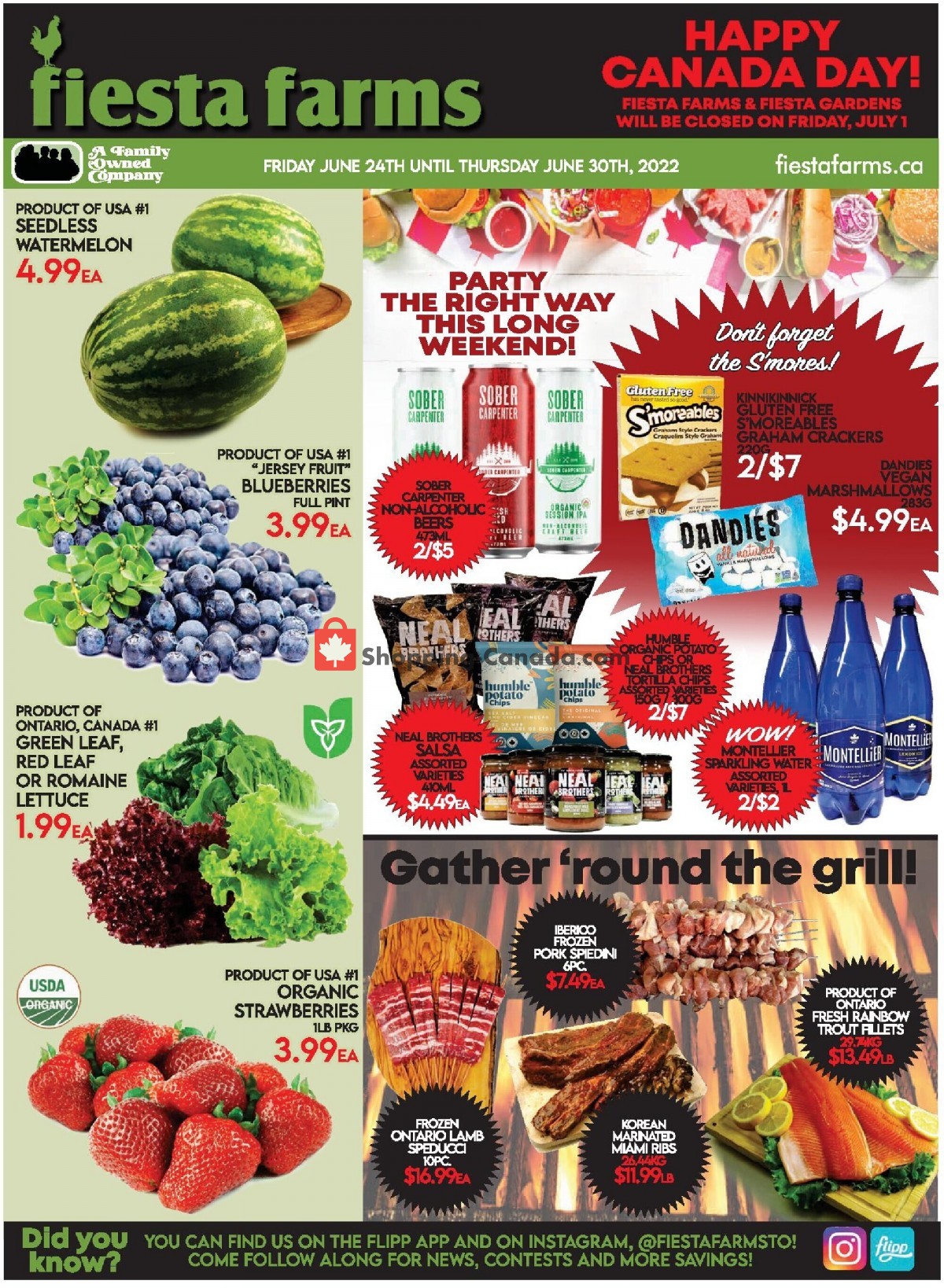 Fiesta Farms flyer from Friday June 24, 2022 to Thursday June 30, 2022 - page 1