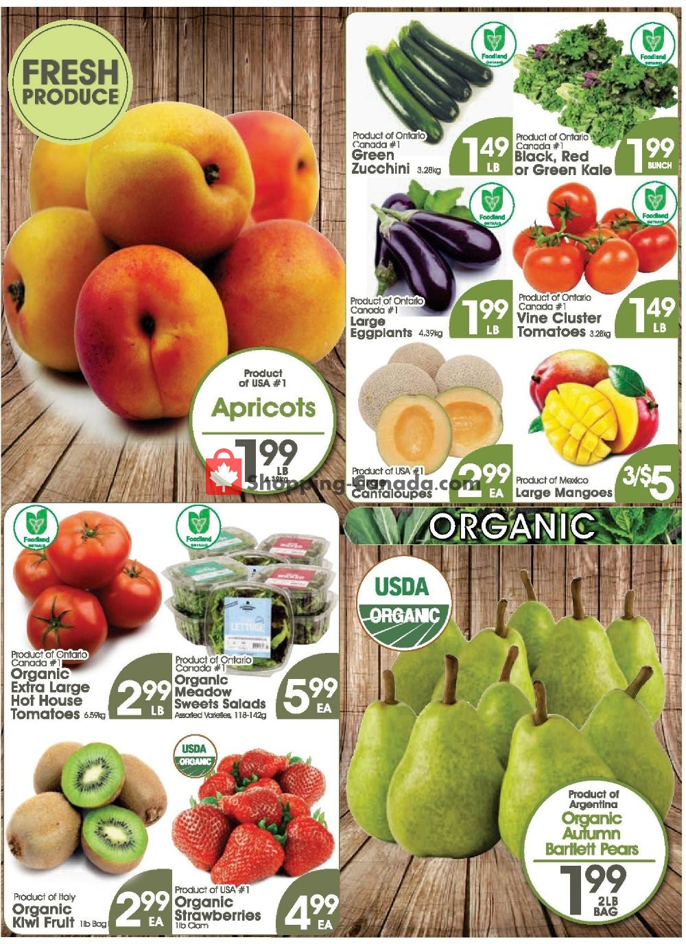 Fiesta Farms flyer from Friday June 28, 2019 to Thursday July 4, 2019 - page 3