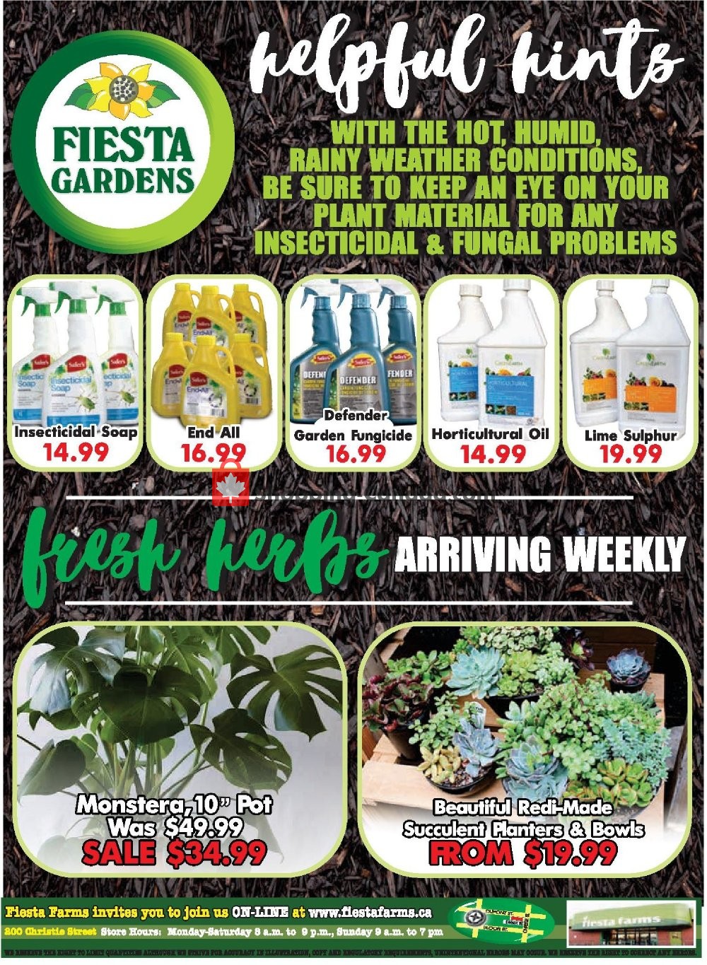 Fiesta Farms flyer from Friday June 28, 2019 to Thursday July 4, 2019 - page 8
