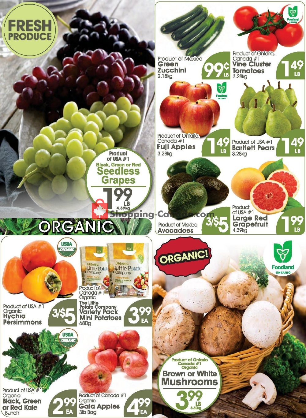 Fiesta Farms flyer from Saturday December 1, 2018 to Friday December 7, 2018 - page 3