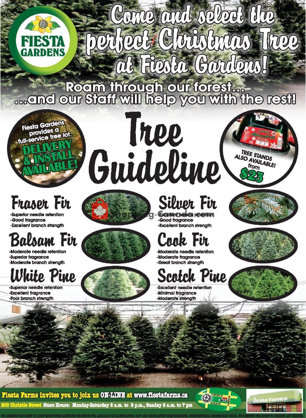 Fiesta Farms flyer from Saturday December 1, 2018 to Friday December 7, 2018 - page 8