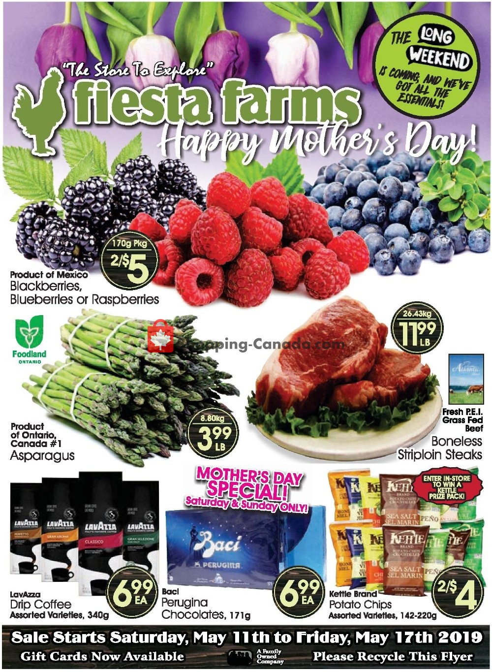 Fiesta Farms flyer from Saturday May 11, 2019 to Friday May 17, 2019 - page 1