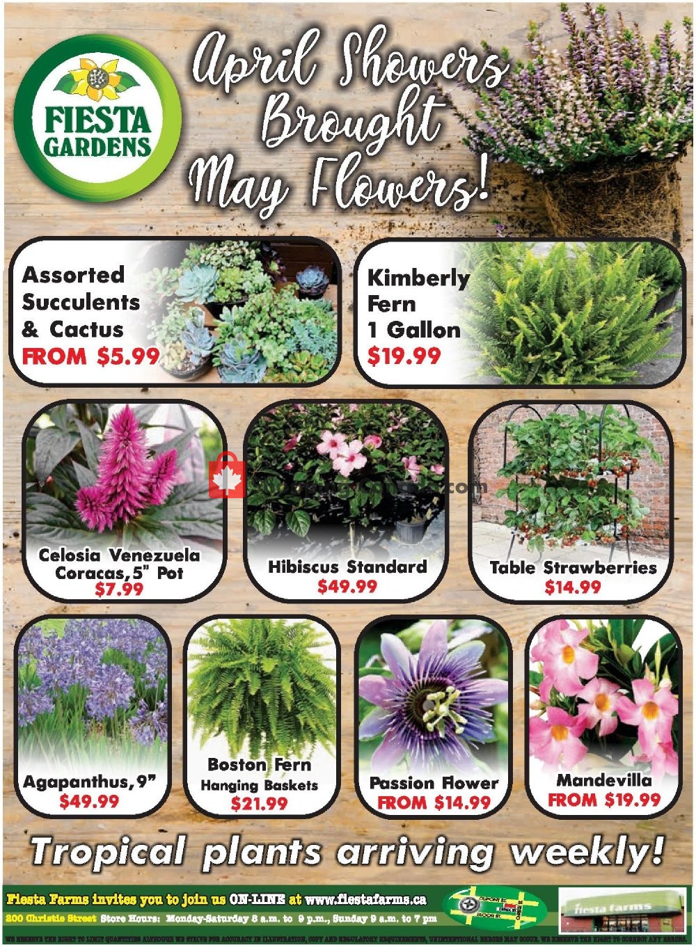 Fiesta Farms flyer from Saturday May 11, 2019 to Friday May 17, 2019 - page 8