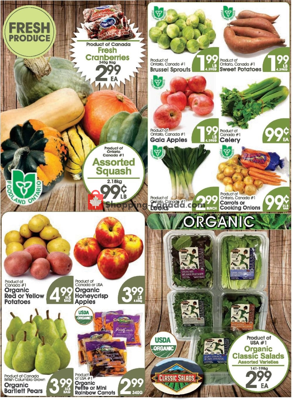 Fiesta Farms flyer from Friday October 4, 2019 to Thursday October 17, 2019 - page 3