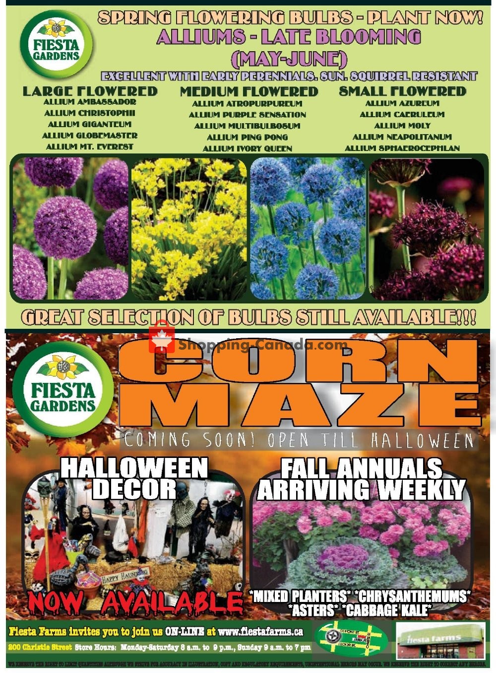 Fiesta Farms flyer from Friday October 4, 2019 to Thursday October 17, 2019 - page 8
