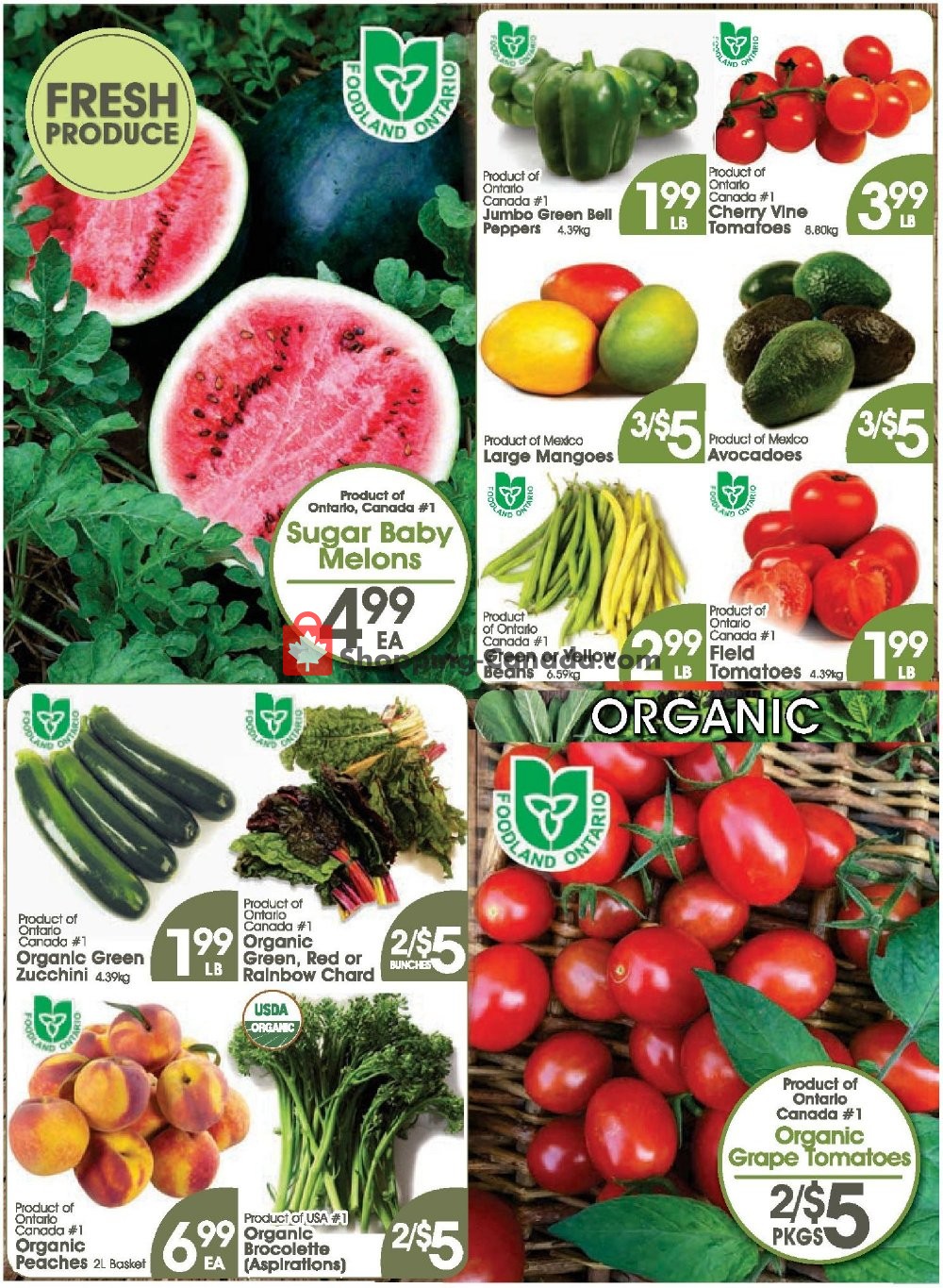 Fiesta Farms flyer from Friday August 9, 2019 to Thursday August 15, 2019 - page 3