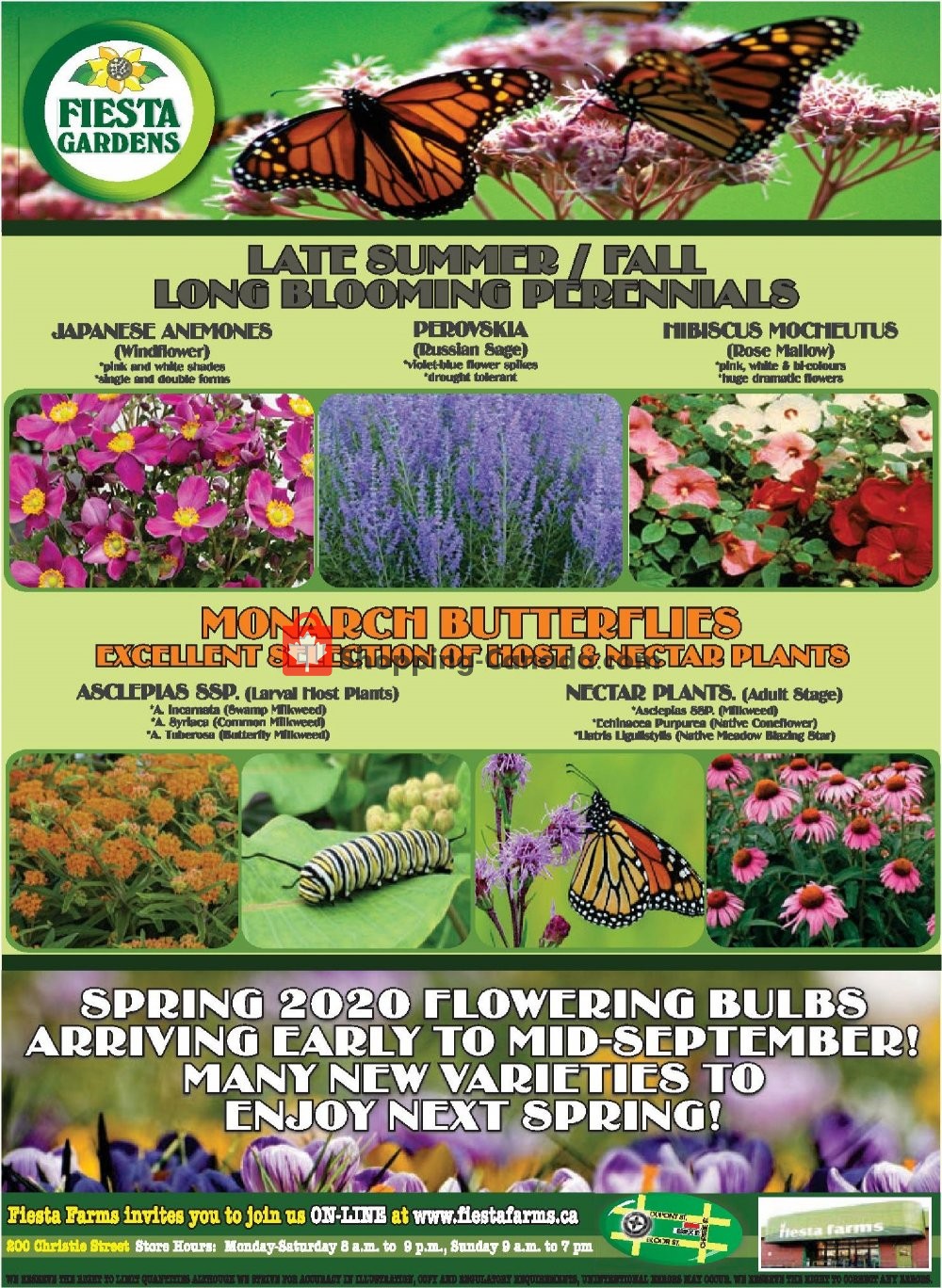 Fiesta Farms flyer from Friday August 9, 2019 to Thursday August 15, 2019 - page 8