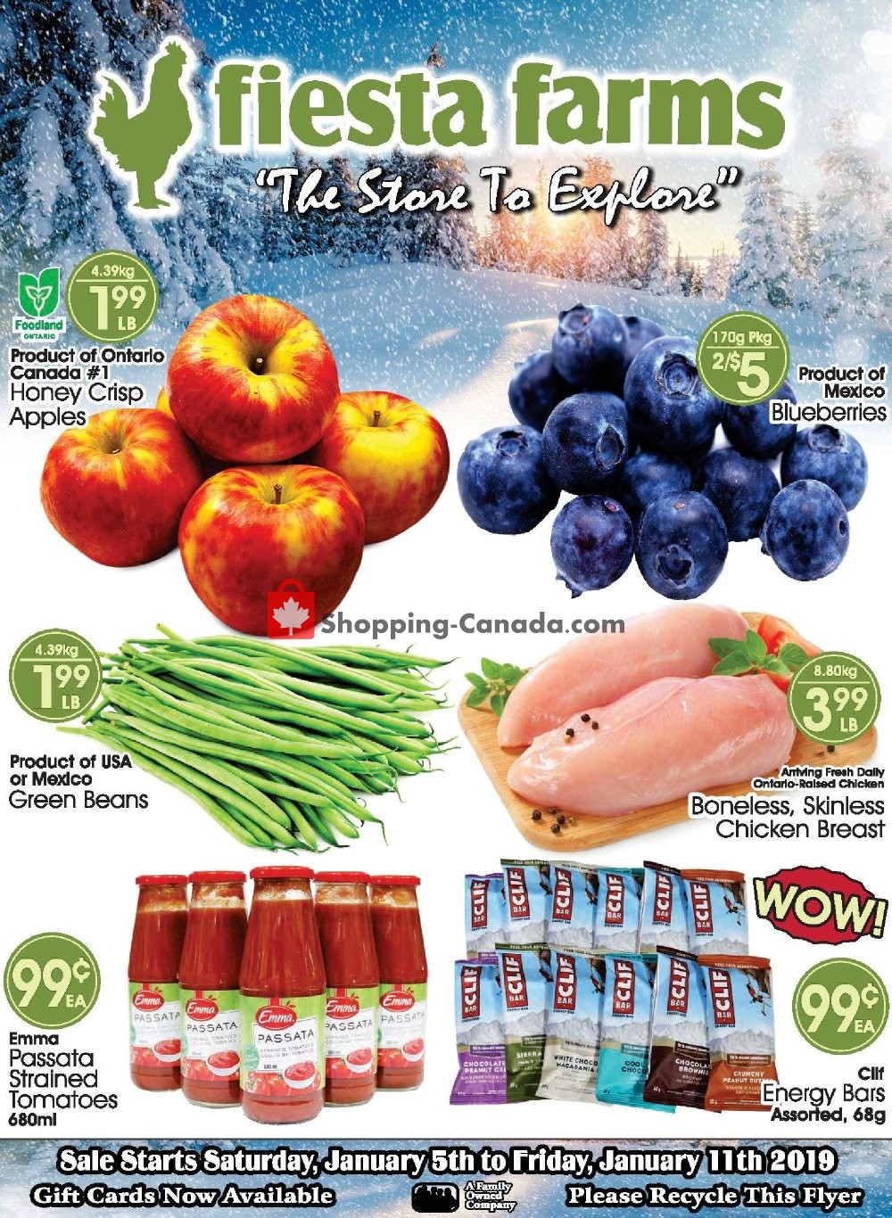 Fiesta Farms flyer from Saturday January 5, 2019 to Friday January 11, 2019 - page 1