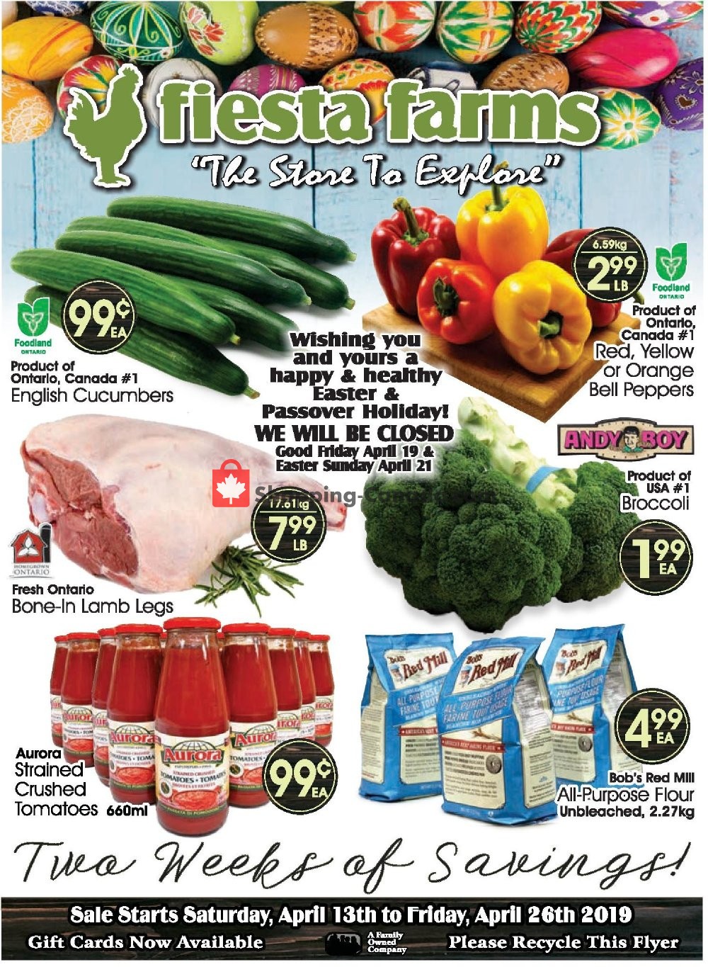 Fiesta Farms flyer from Saturday April 13, 2019 to Friday April 26, 2019 - page 1