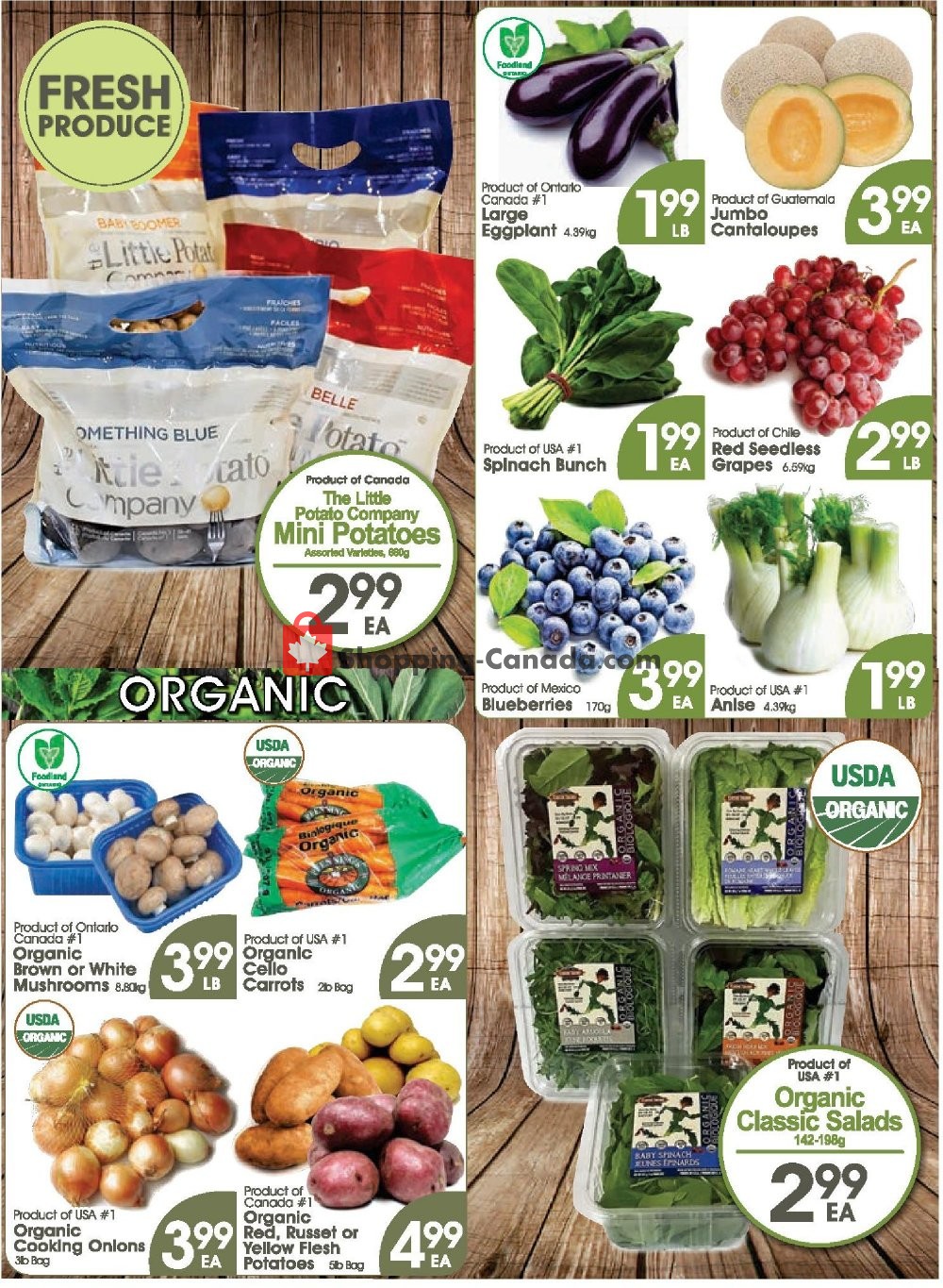 Fiesta Farms flyer from Saturday April 13, 2019 to Friday April 26, 2019 - page 3