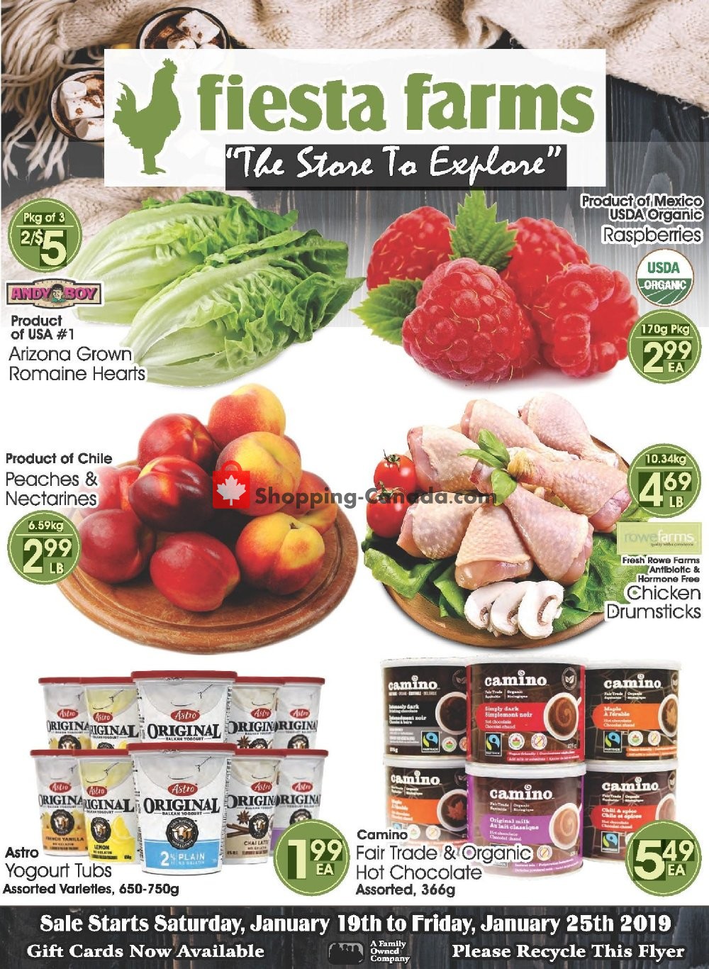Fiesta Farms flyer from Saturday January 19, 2019 to Friday January 25, 2019 - page 1