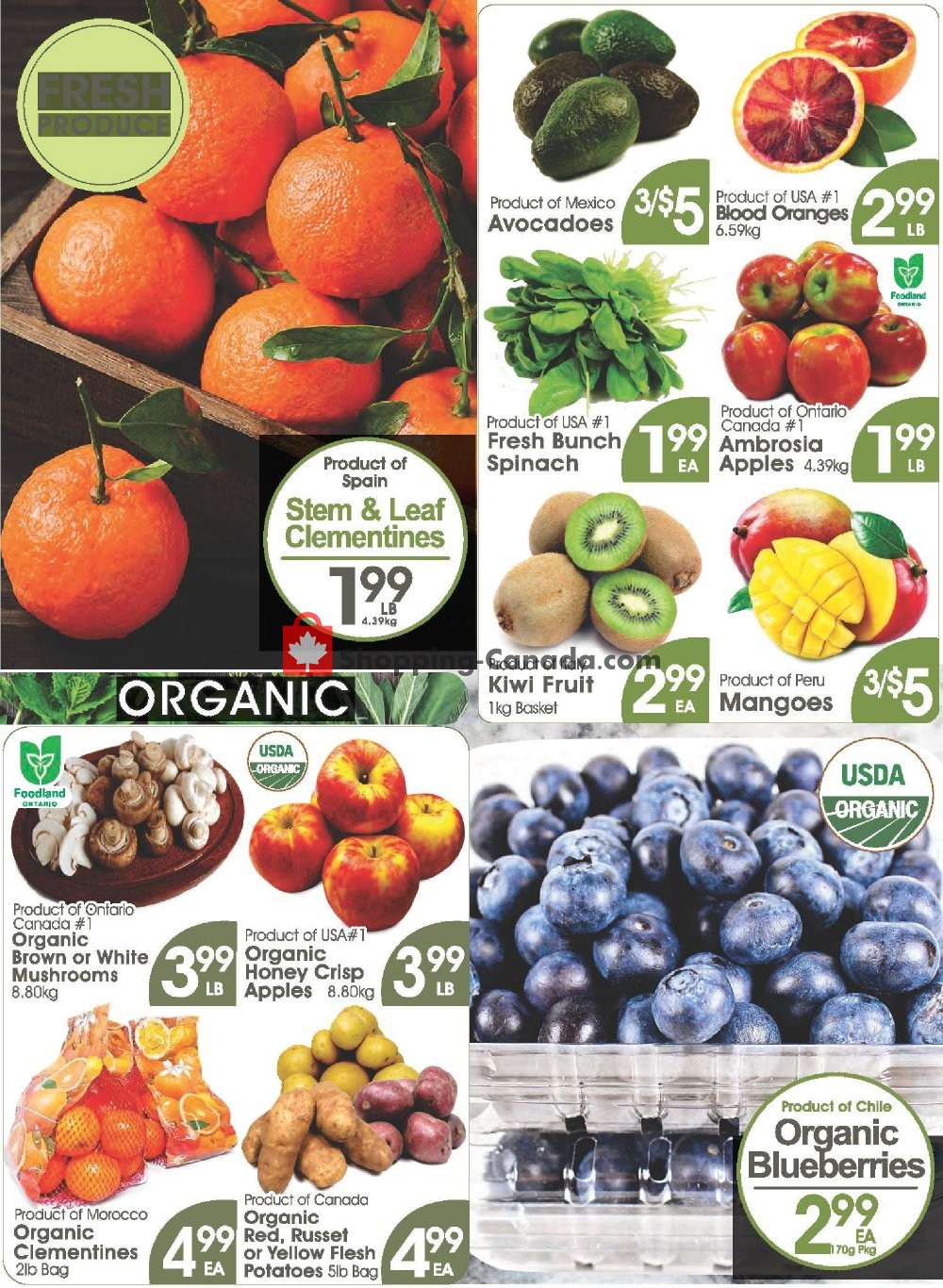Fiesta Farms flyer from Saturday January 19, 2019 to Friday January 25, 2019 - page 3