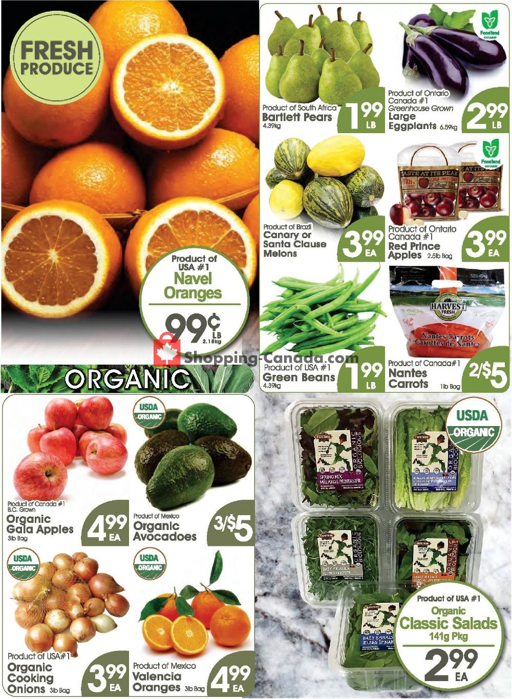 Fiesta Farms flyer from Saturday March 9, 2019 to Friday March 15, 2019 - page 3