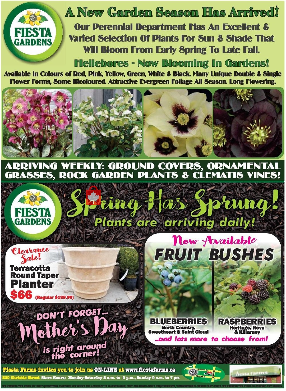 Fiesta Farms flyer from Saturday May 4, 2019 to Friday May 10, 2019 - page 8