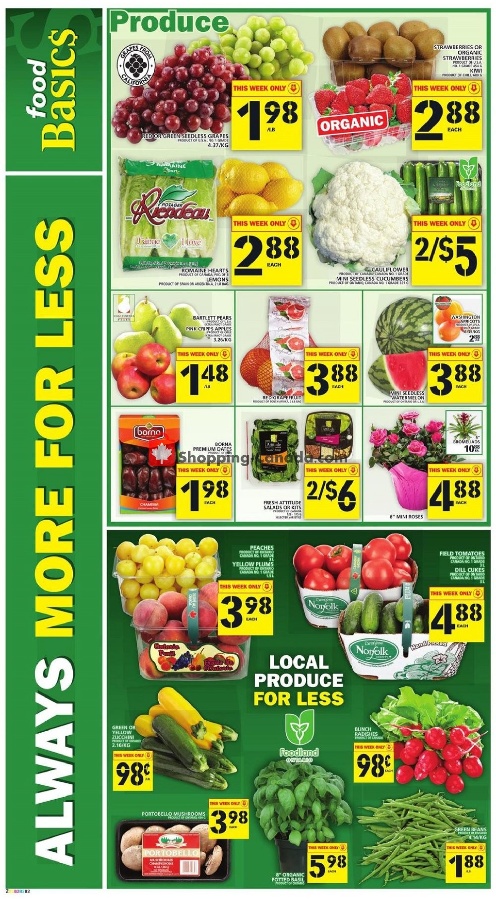 Food Basics flyer from Thursday August 8, 2019 to Wednesday August 14, 2019 - page 3