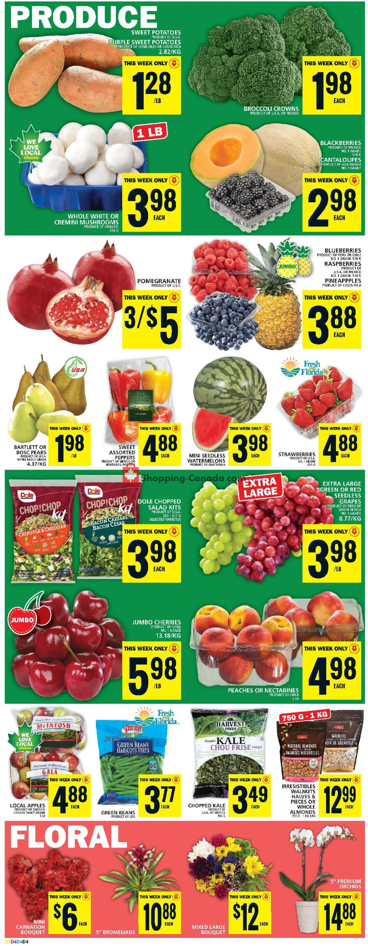 Food Basics flyer from Thursday January 25, 2024 to Wednesday January 31, 2024 - page 9