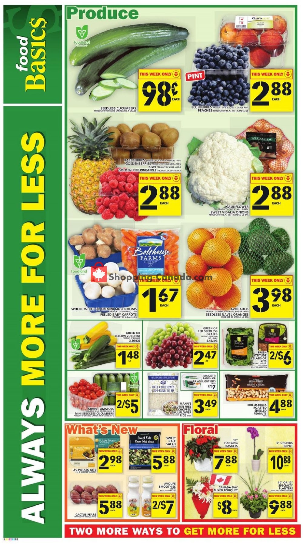 Food Basics flyer from Thursday June 27, 2019 to Wednesday July 3, 2019 - page 3