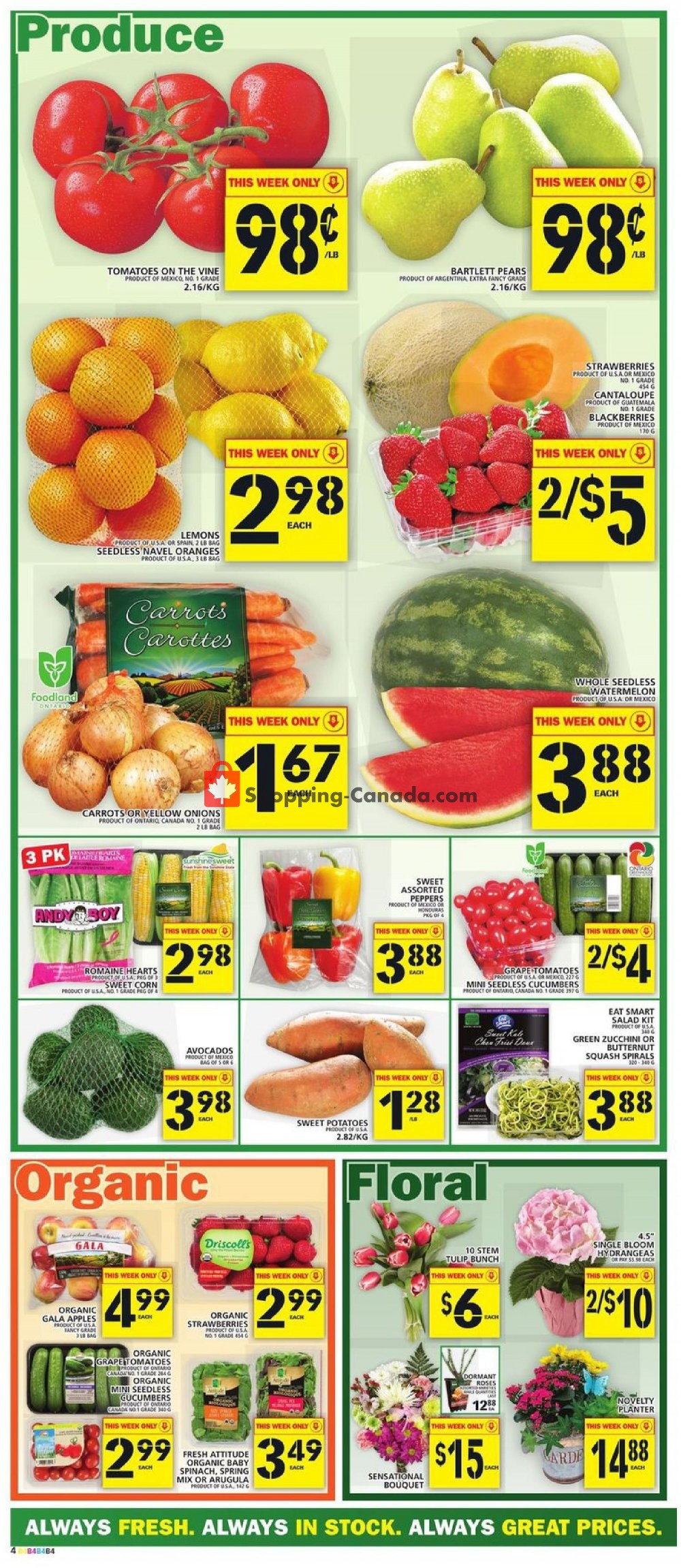 Food Basics flyer from Thursday May 9, 2019 to Wednesday May 15, 2019 - page 5