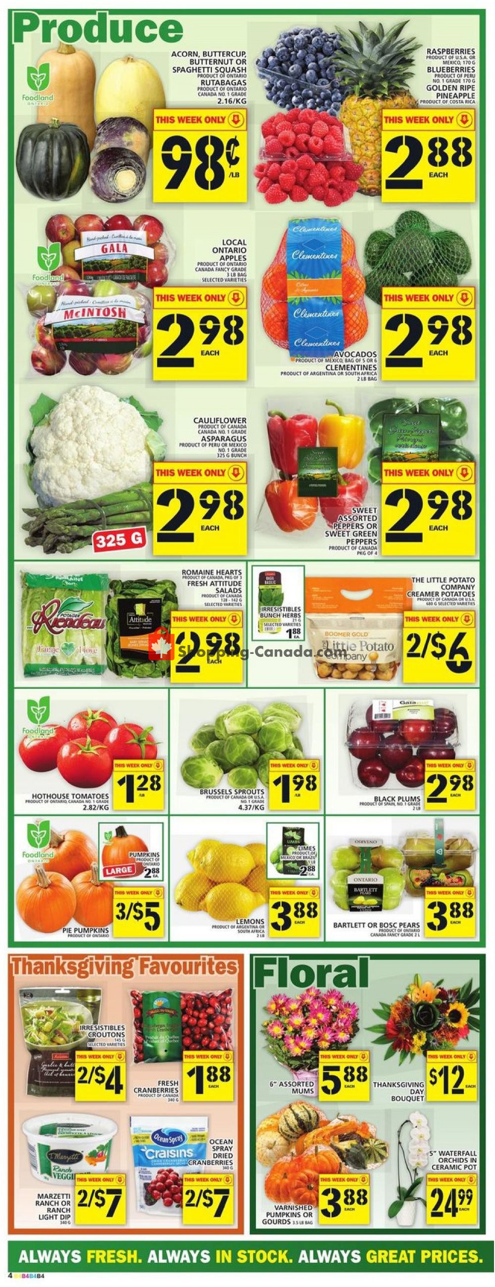 Food Basics flyer from Thursday October 10, 2019 to Wednesday October 16, 2019 - page 5