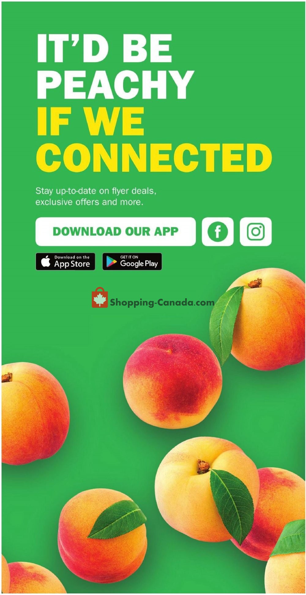 Food Basics flyer from Thursday October 29, 2020 to Wednesday November 4, 2020 - page 3