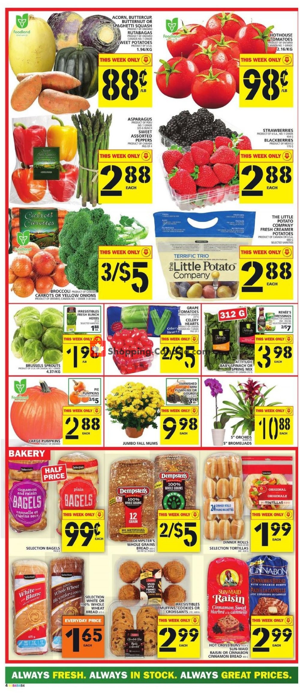 Food Basics flyer from Thursday October 4, 2018 to Wednesday October 10, 2018 - page 4