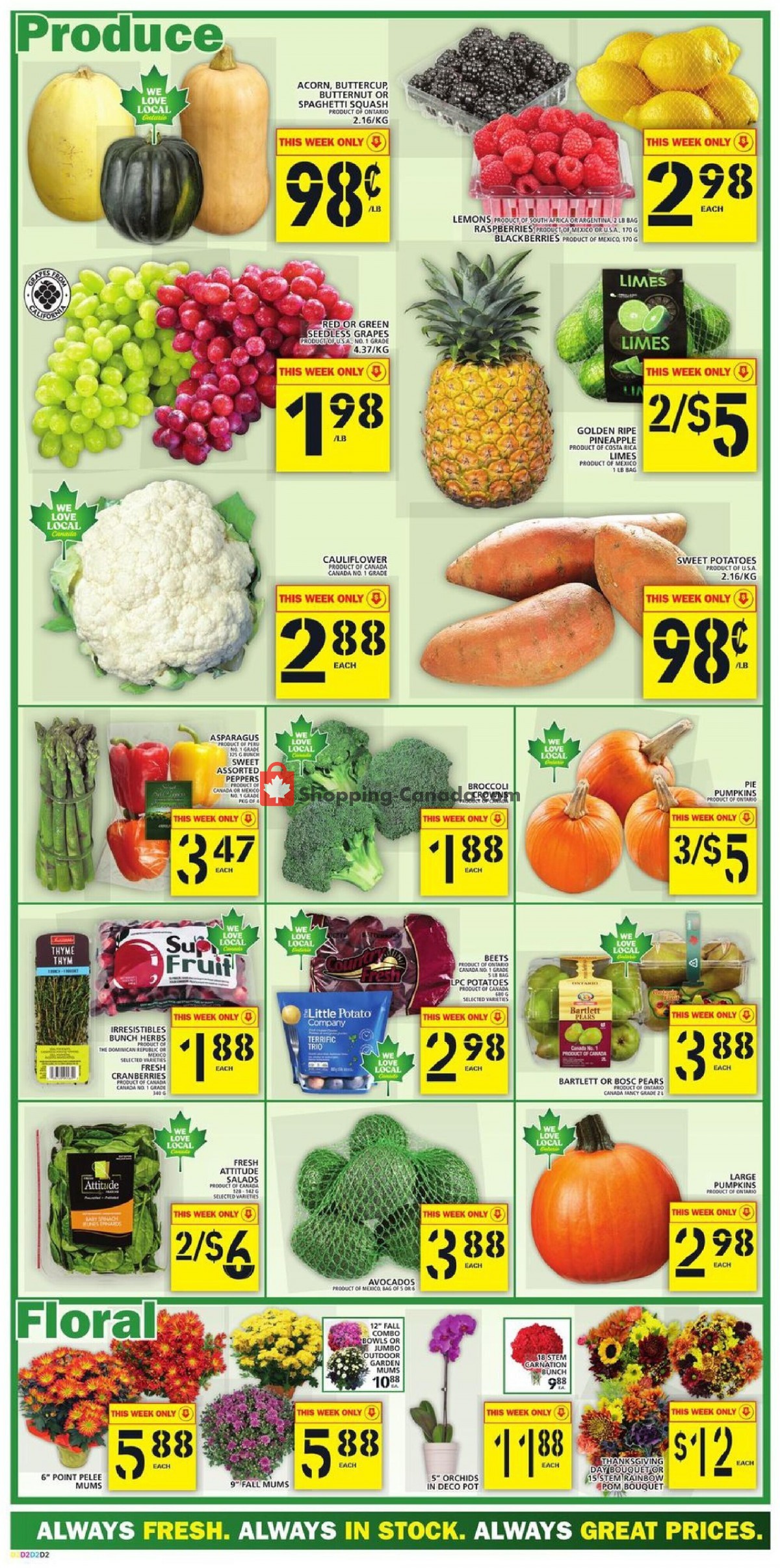 Food Basics flyer from Thursday October 7, 2021 to Wednesday October 13, 2021 - page 3