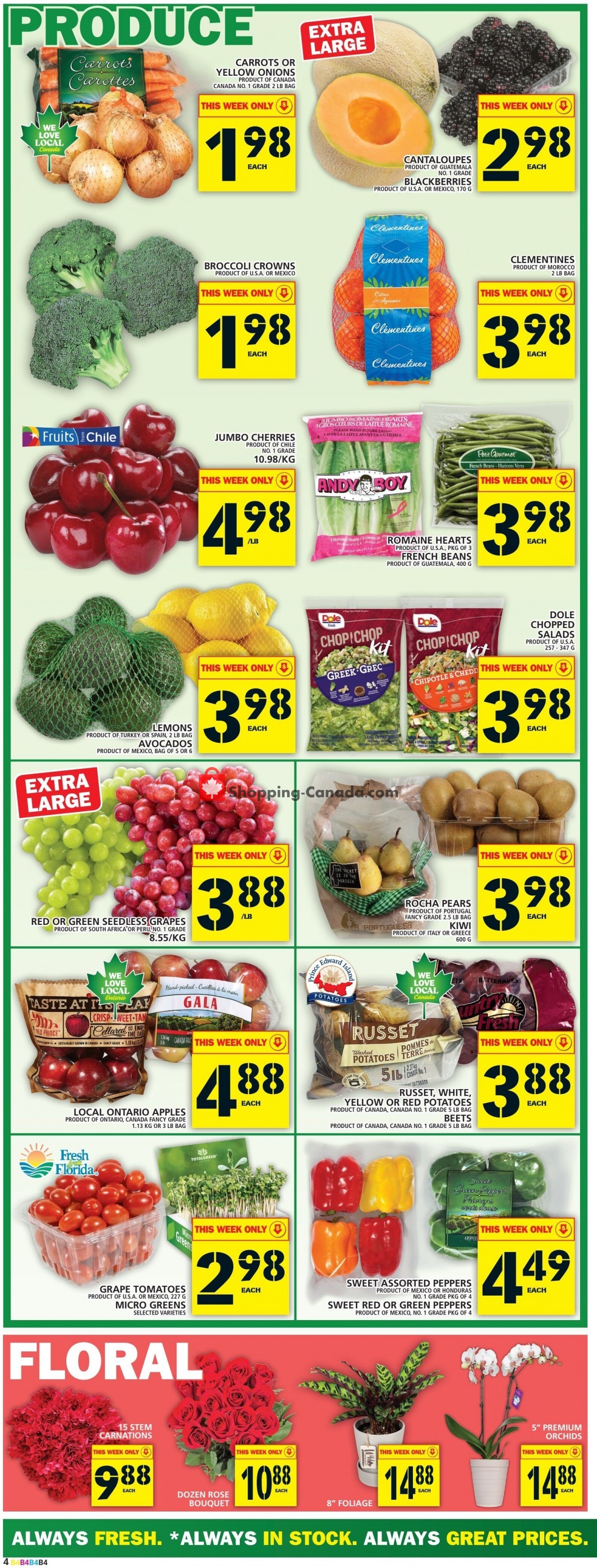 Food Basics flyer from Thursday January 26, 2023 to Wednesday February 1, 2023 - page 6