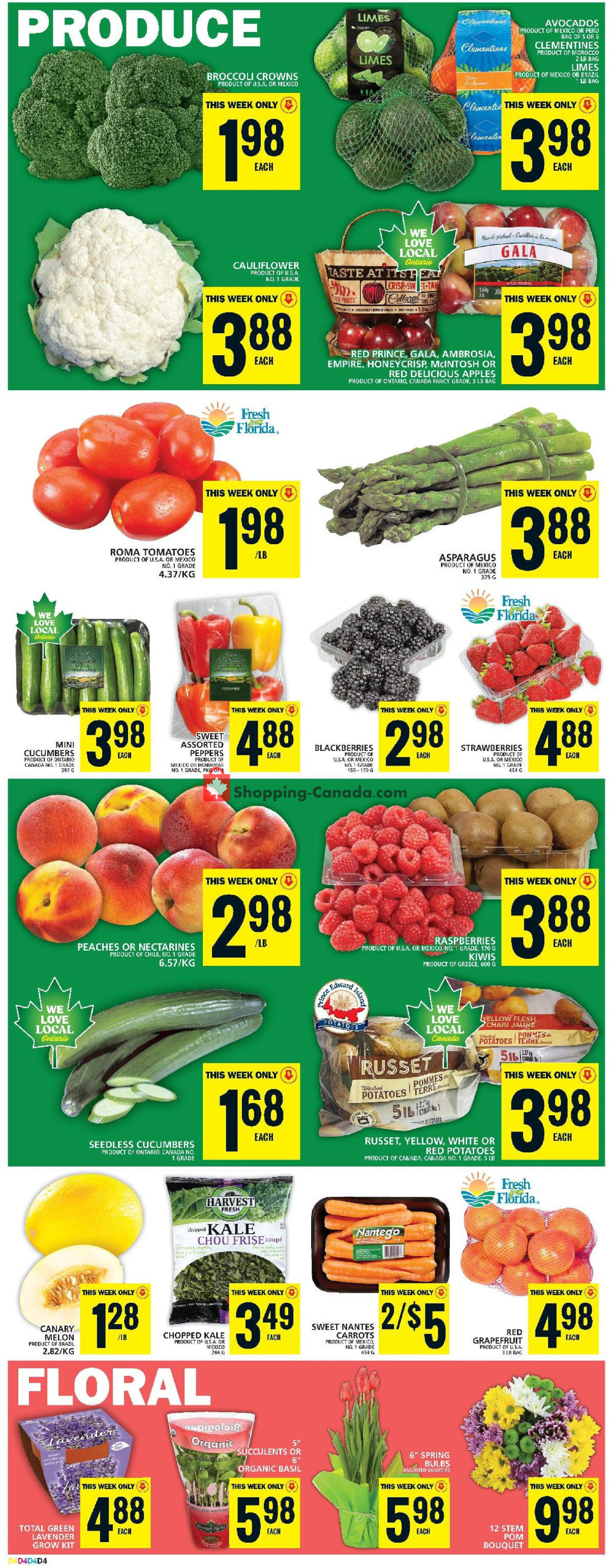 Food Basics flyer from Thursday February 15, 2024 to Wednesday February 21, 2024 - page 7