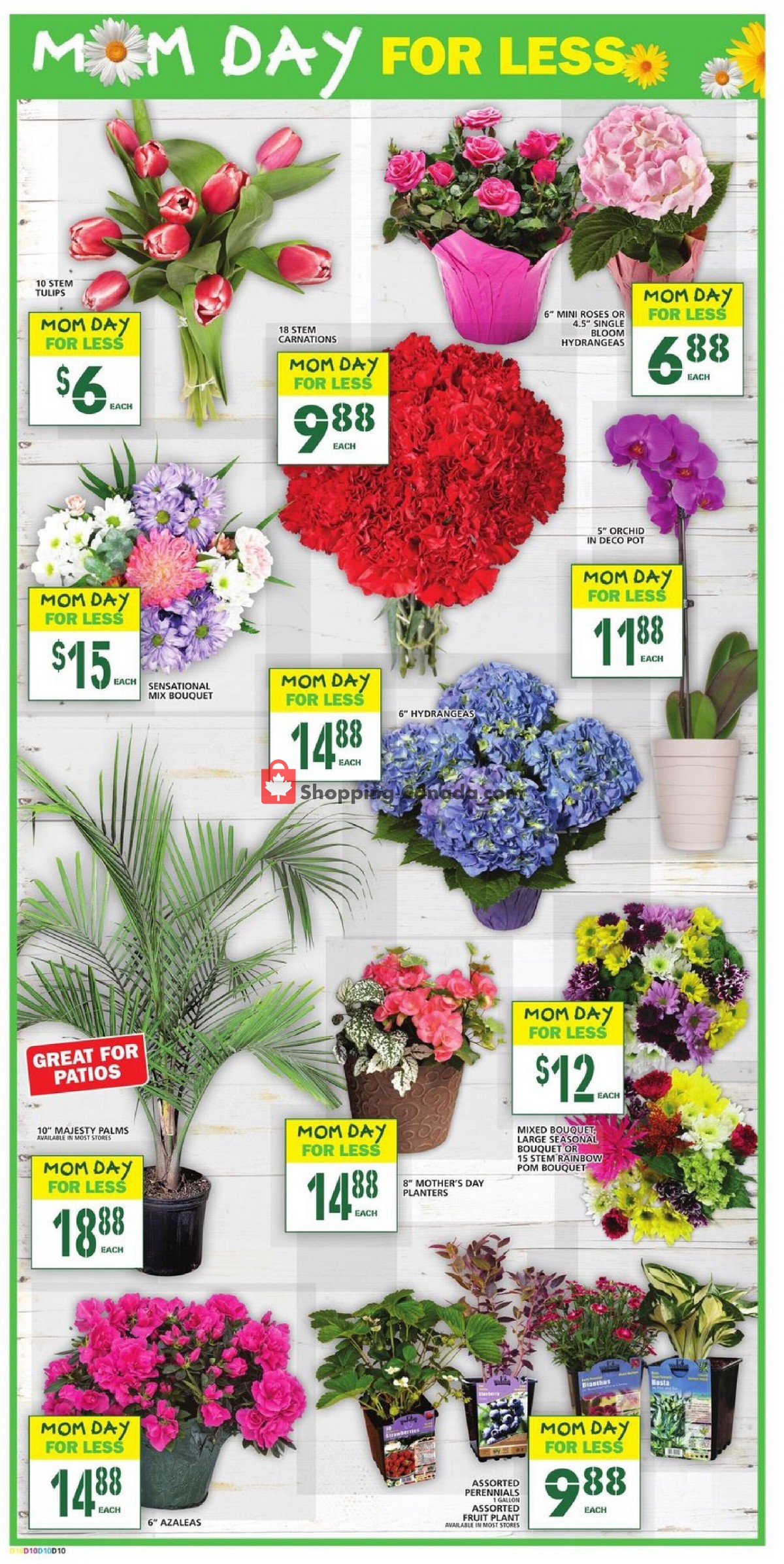 Food Basics flyer from Thursday May 6, 2021 to Wednesday May 12, 2021 - page 13