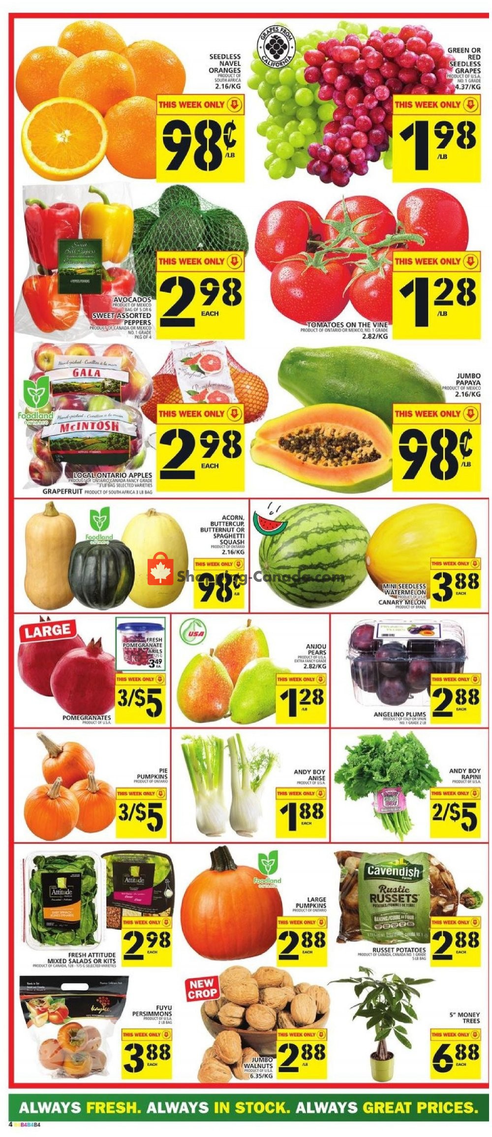 Food Basics flyer from Thursday October 18, 2018 to Wednesday October 24, 2018 - page 4