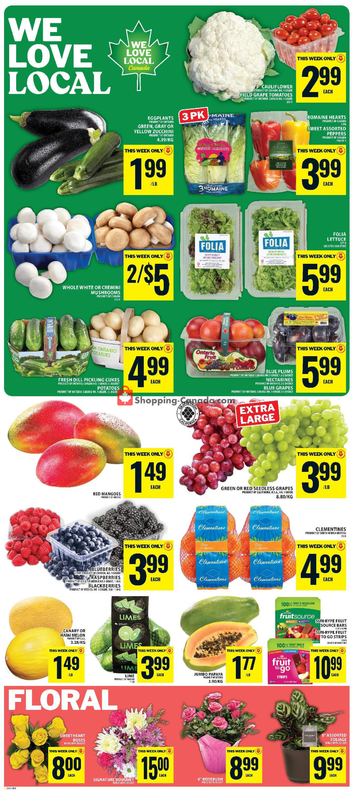 Food Basics flyer from Thursday August 20, 2026 to Wednesday August 26, 2026 - page 3