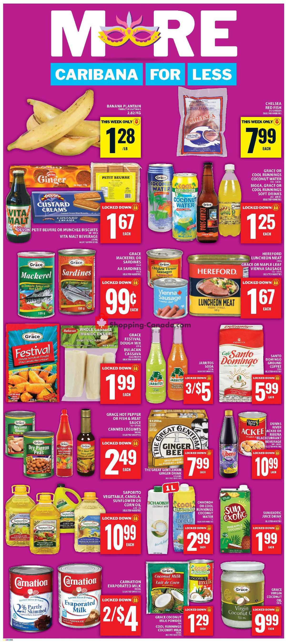 Food Basics flyer from Thursday July 16, 2026 to Wednesday July 22, 2026 - page 15