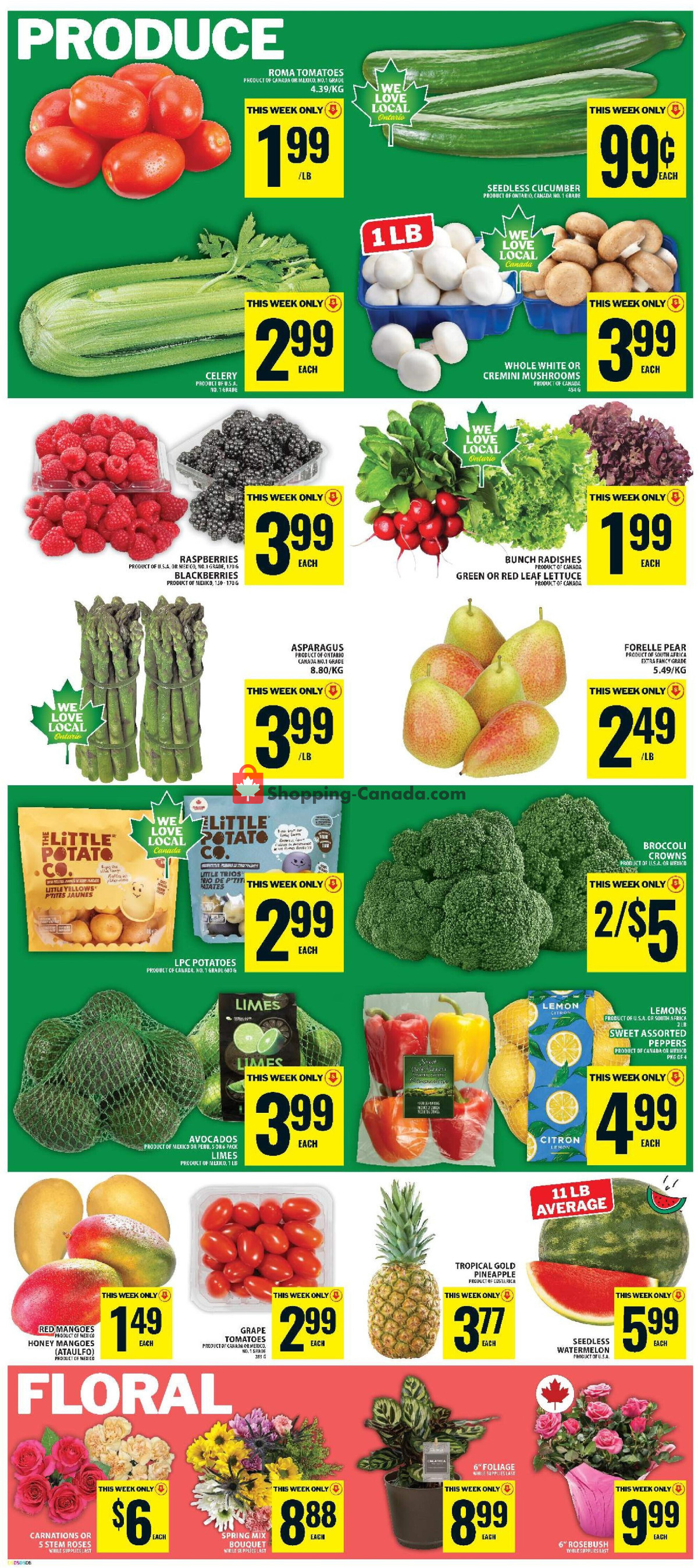 Food Basics flyer from Thursday June 18, 2026 to Wednesday June 24, 2026 - page 6