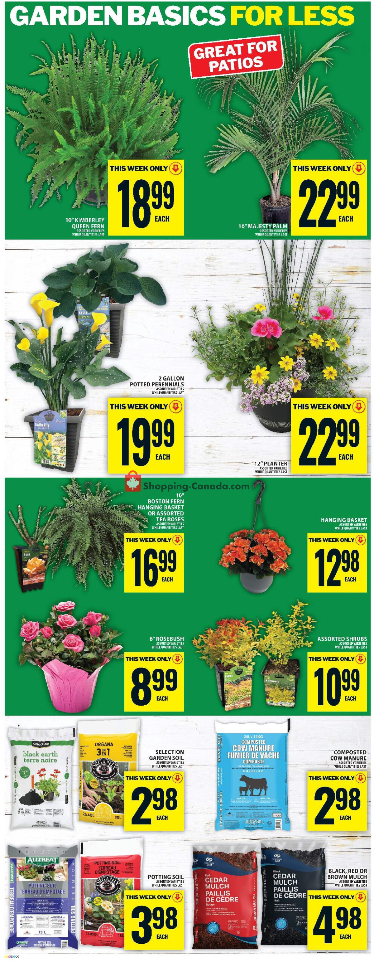 Food Basics flyer from Thursday May 28, 2026 to Wednesday June 3, 2026 - page 17