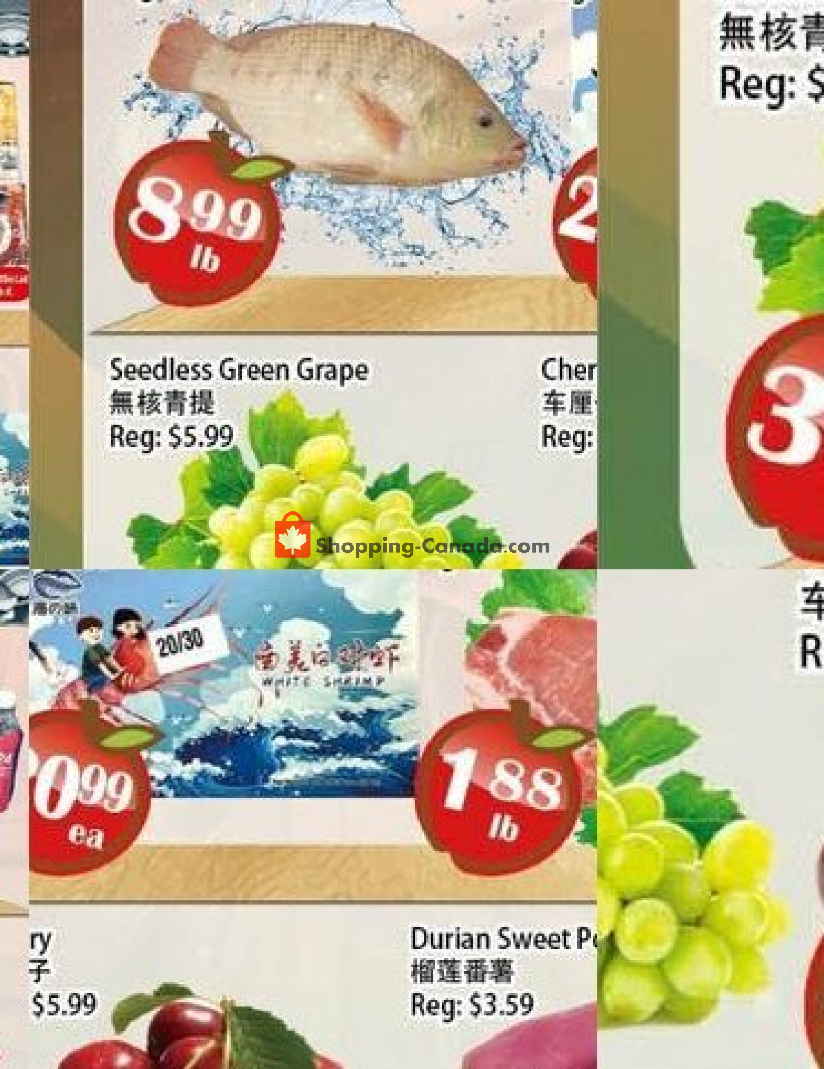 Food Depot Supermarket flyer from Friday July 10, 2026 to Thursday July 16, 2026 - page 3