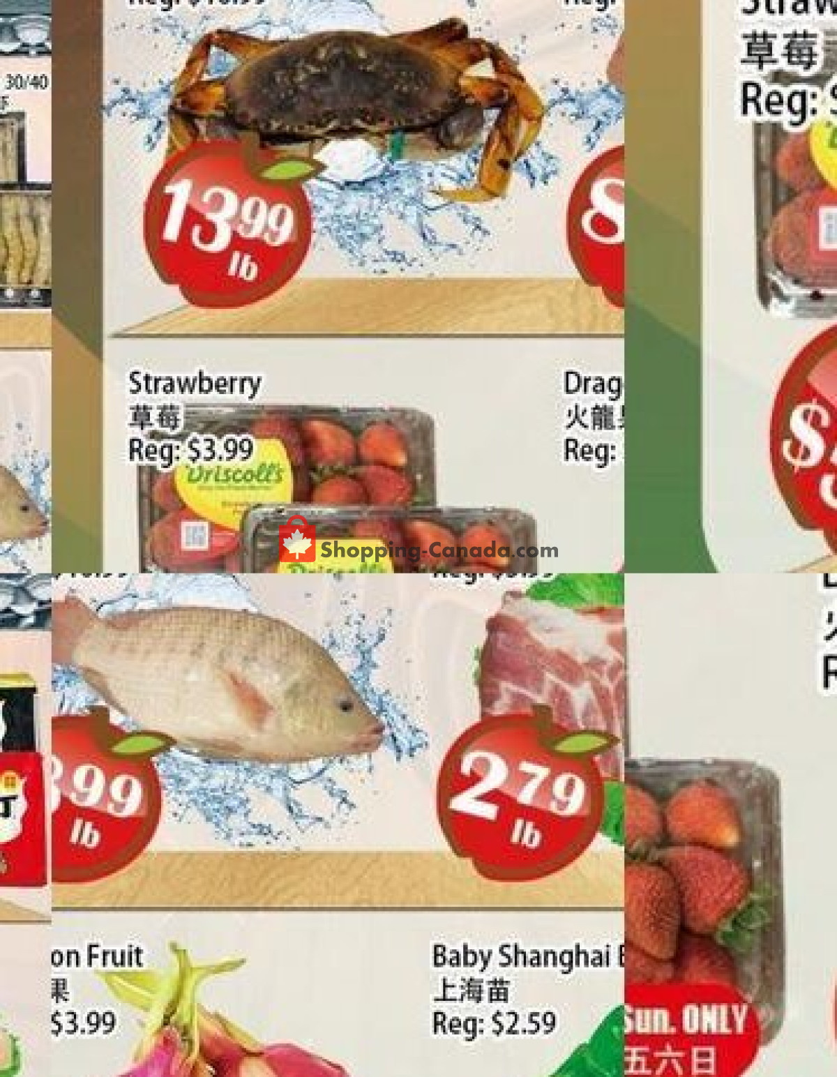 Food Depot Supermarket flyer from Friday October 2, 2026 to Thursday October 8, 2026 - page 3