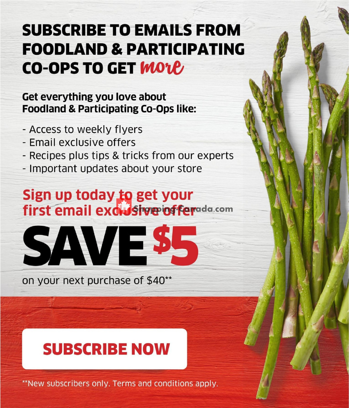 Foodland flyer from Thursday February 15, 2024 to Wednesday February 21, 2024 - page 17