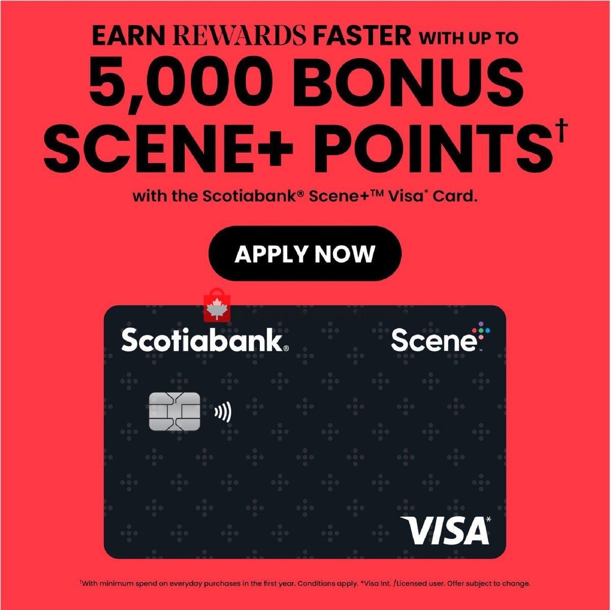 Foodland flyer from Thursday February 22, 2024 to Wednesday February 28, 2024 - page 6