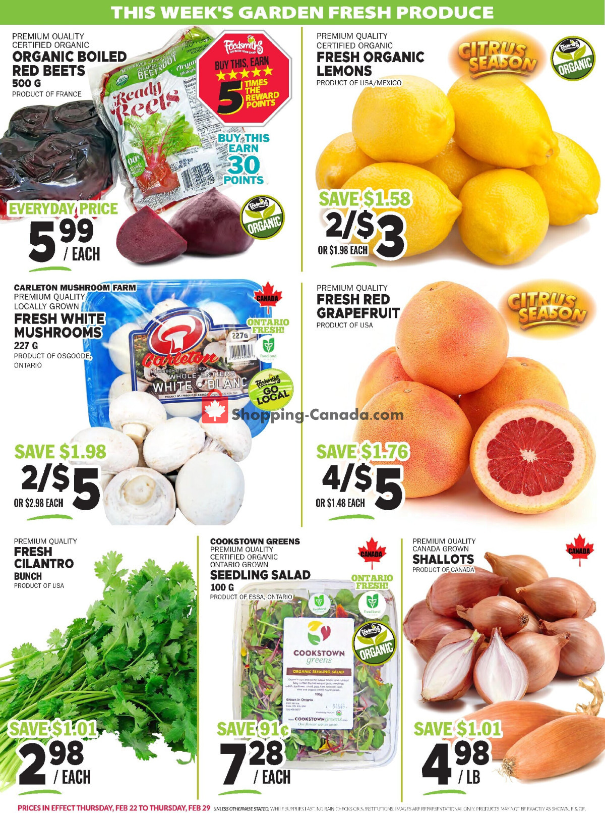 Foodsmiths flyer from Thursday February 22, 2024 to Thursday February 29, 2024 - page 4