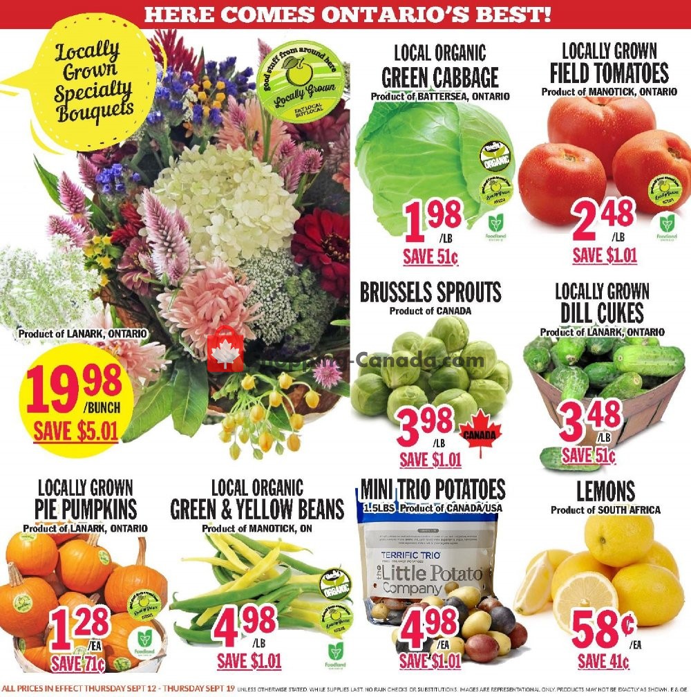 Foodsmiths flyer from Thursday September 12, 2019 to Thursday September 19, 2019 - page 6