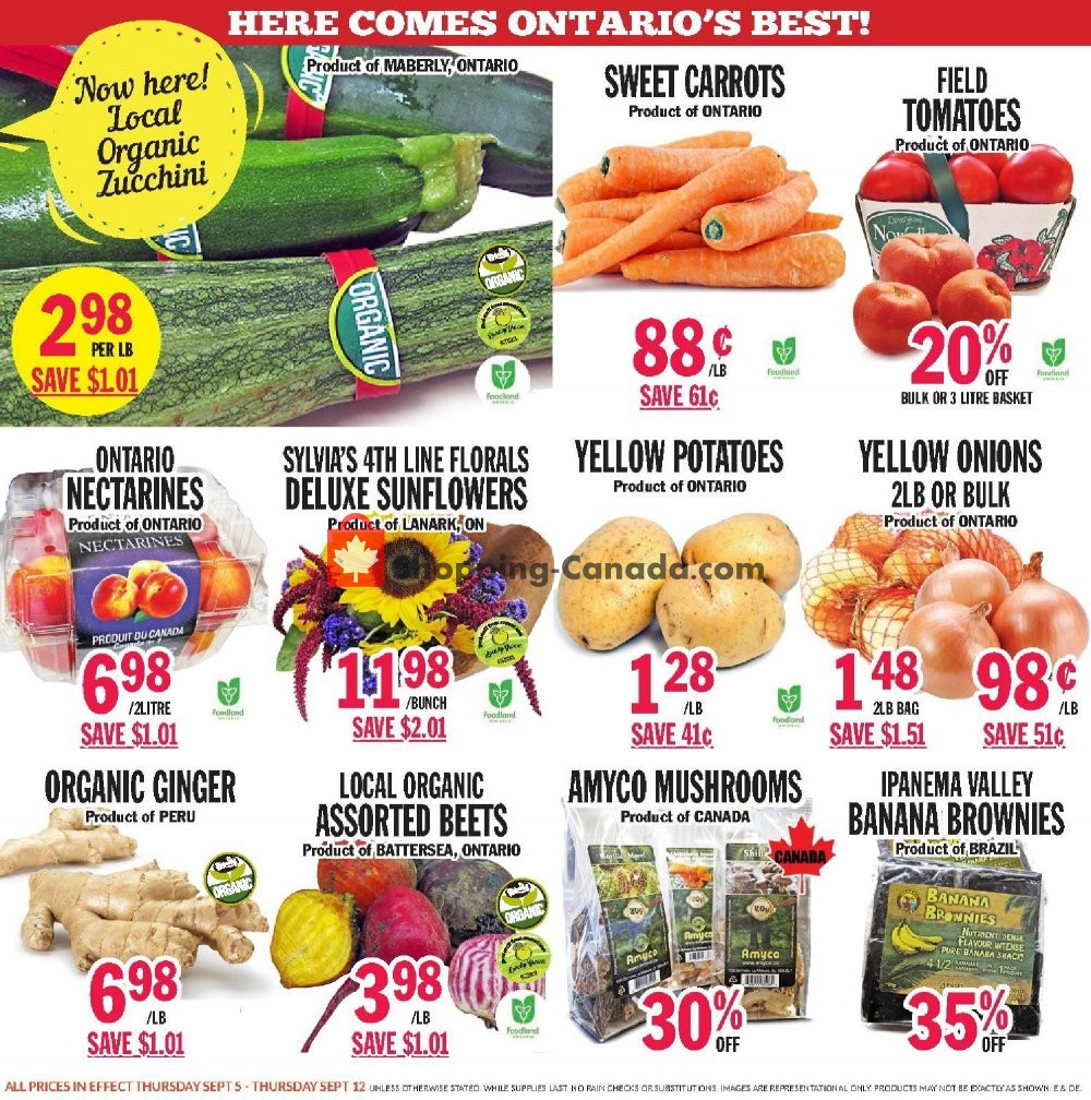 Foodsmiths flyer from Thursday September 5, 2019 to Thursday September 12, 2019 - page 6