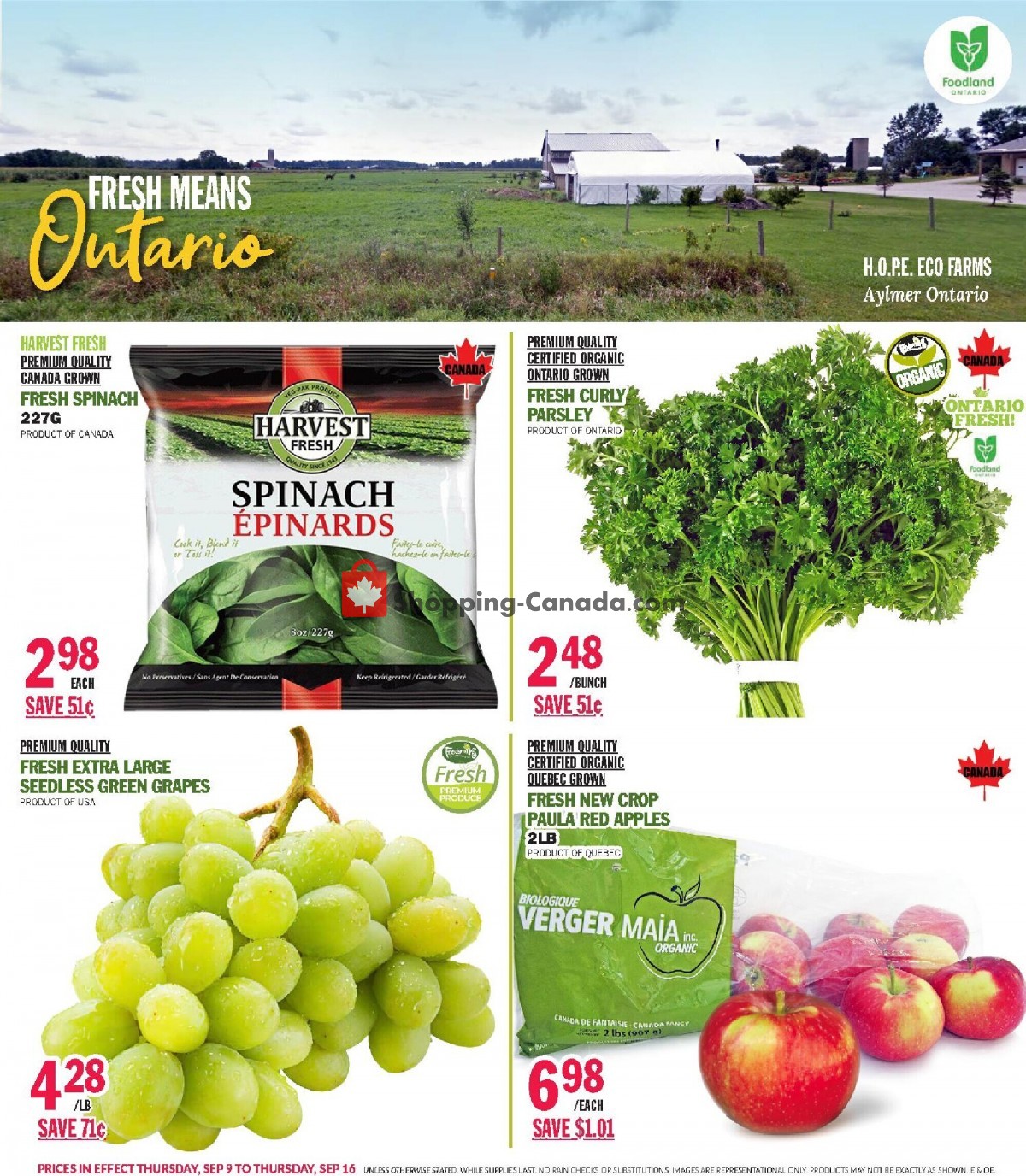 Foodsmiths flyer from Thursday September 9, 2021 to Thursday September 16, 2021 - page 3
